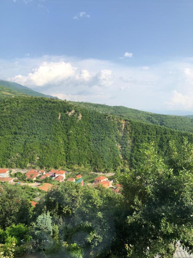 Bujtina Vrenezi Hotel Peshkopi Екстериор снимка
